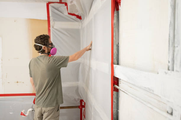 Mold Remediation for Rental Properties in Avon Lake, OH