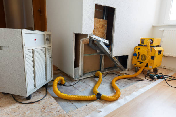 Best Mold Documentation for Insurance Claims  in Avon Lake, OH
