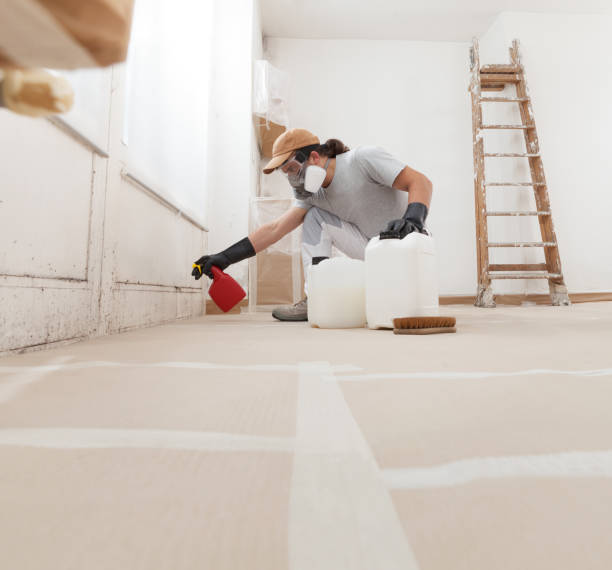 Best Mold Prevention Services  in Avon Lake, OH